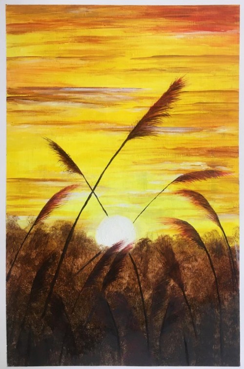 Sunset Through Tall Grass