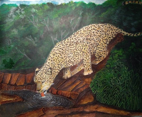 Thirsty Leopard