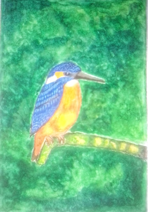 Resting Kingfisher