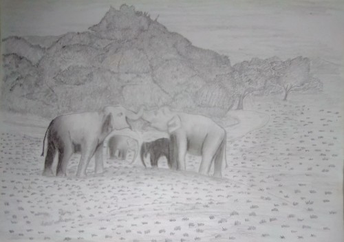 Elephant Tussle