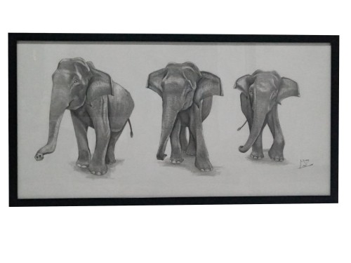 Elephants