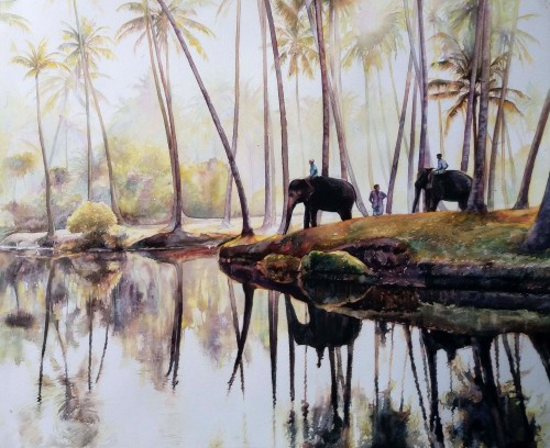 elephants