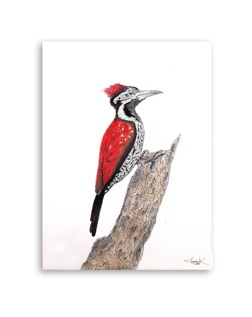 THE SRI LANKAN WOODPECKER - 2