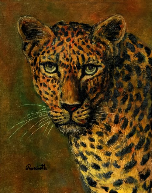 Head of the leopard