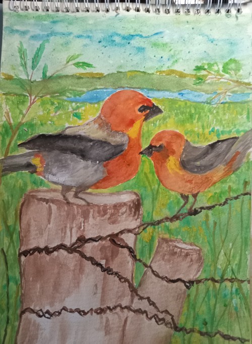 Pair  of Color Ful Birds
