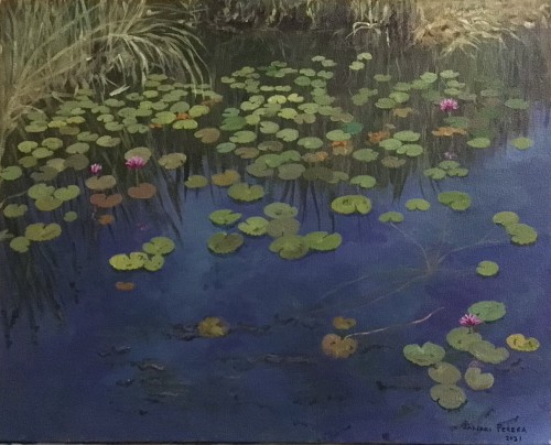 Lotus pond