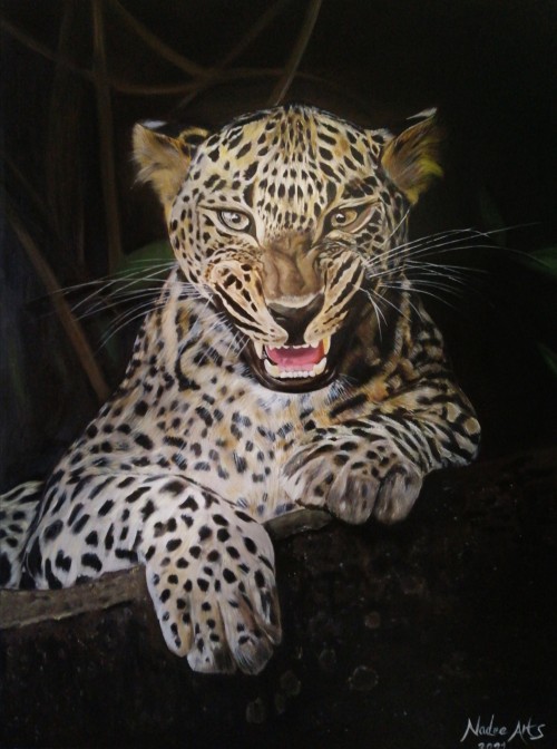 Sri Lankan Leopard