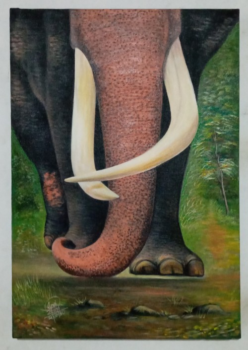 A lone elephant II