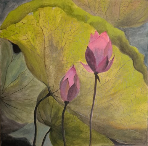 Blooming lotus
