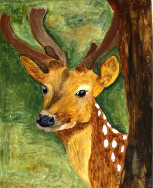 "DEER"