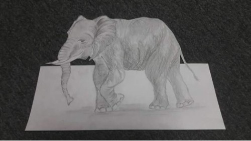 Elephant