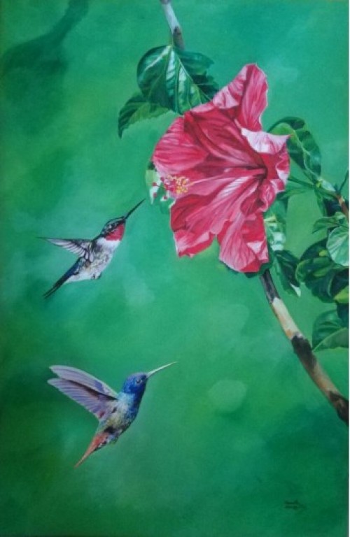 Humming birds