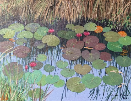 Lotus Pond