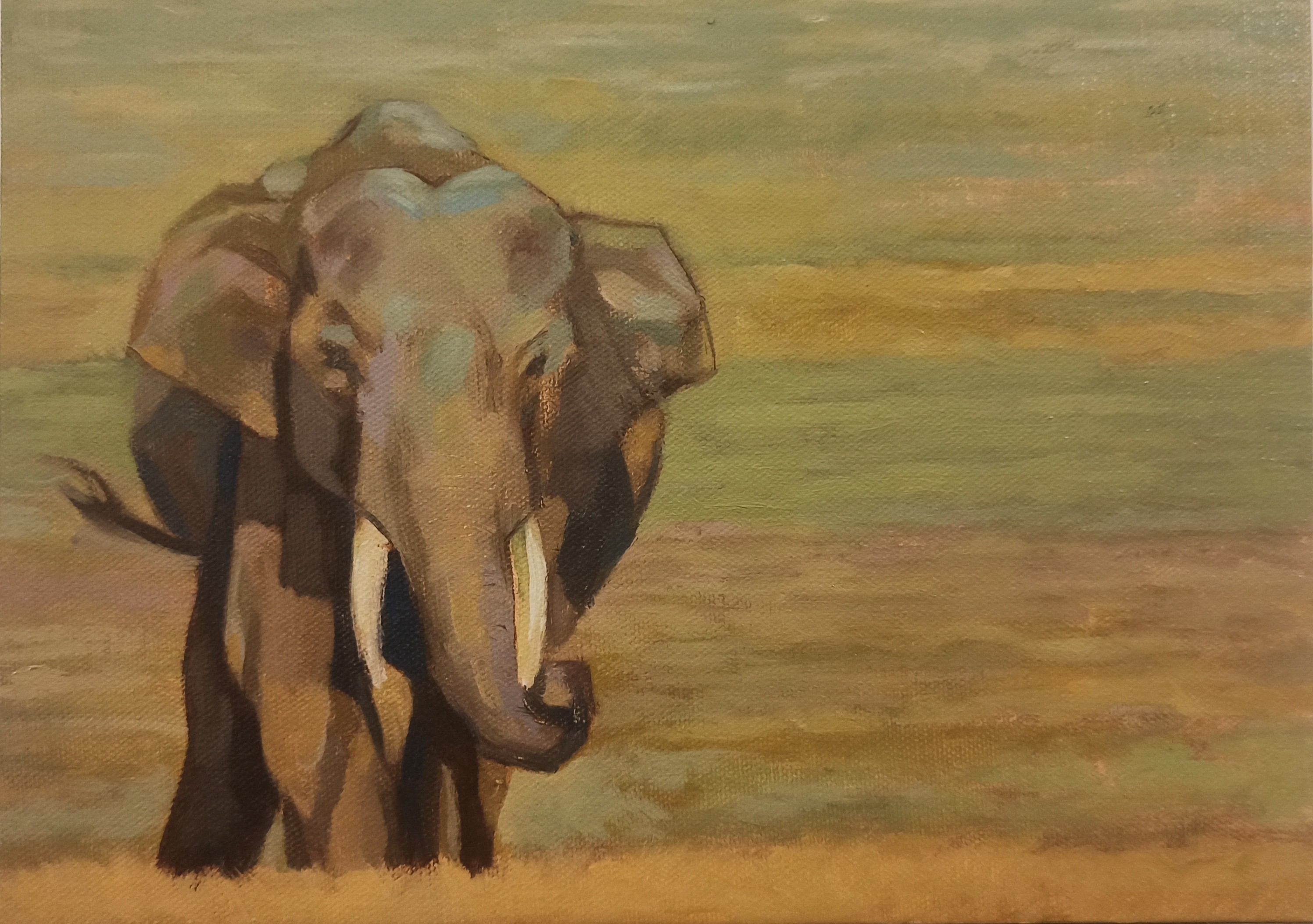 Eli 2 Along came an Elephant by Sachith Graham De Silva