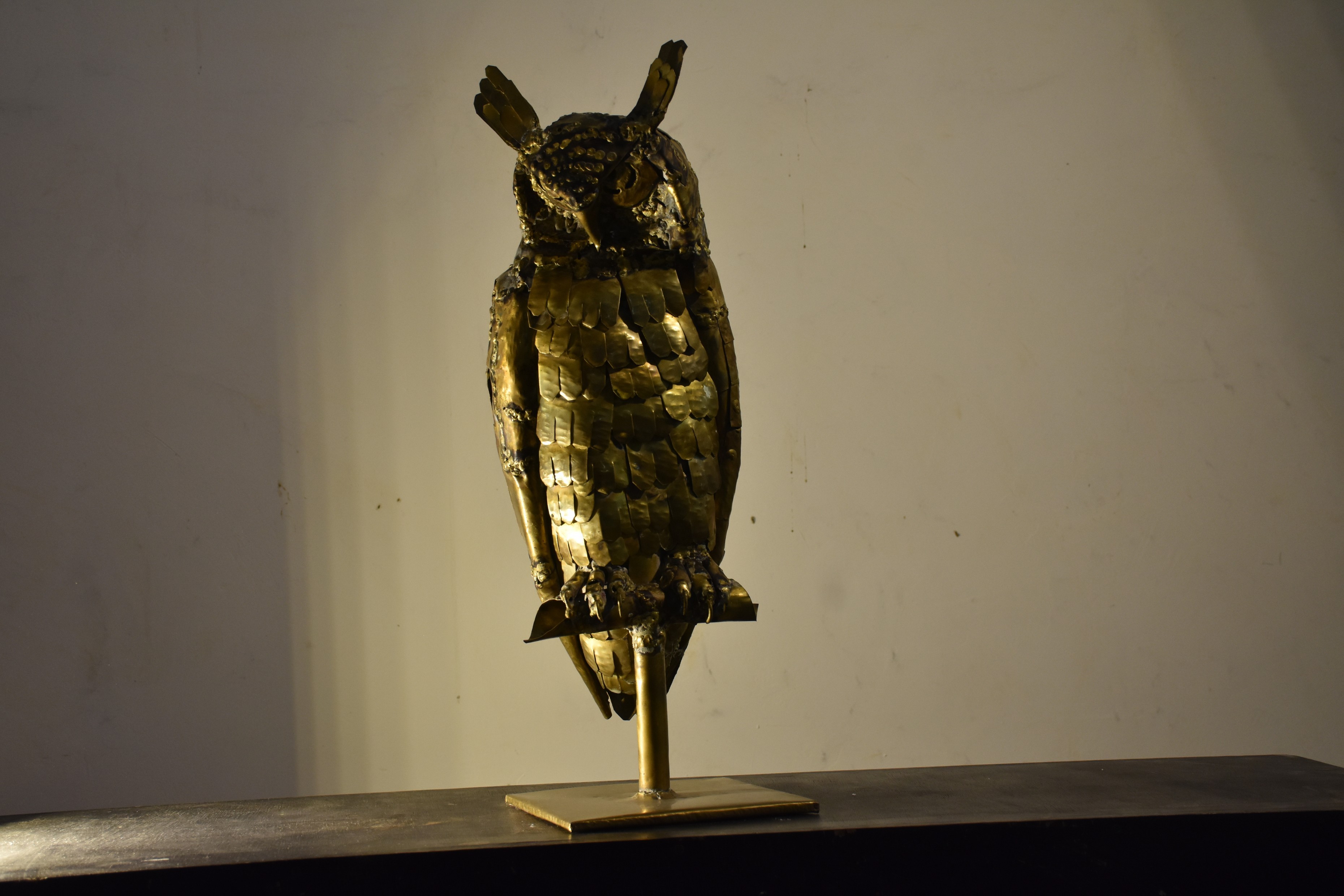 Owl by Anuradha Henakaarachchi