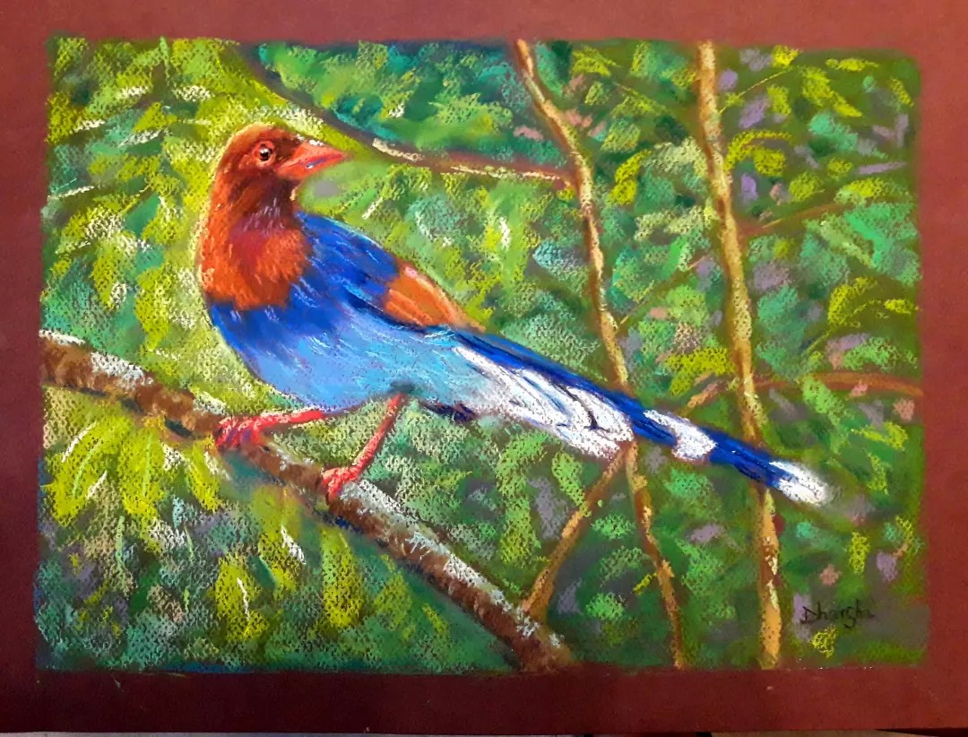 Ceylon Blue Magpie by Dharsha Samarasinha