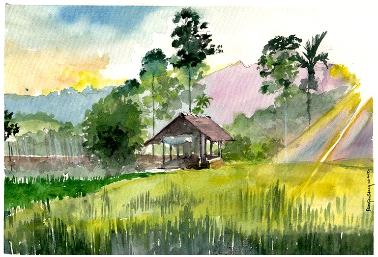 Paddy Field by Ranjan Ekanayake
