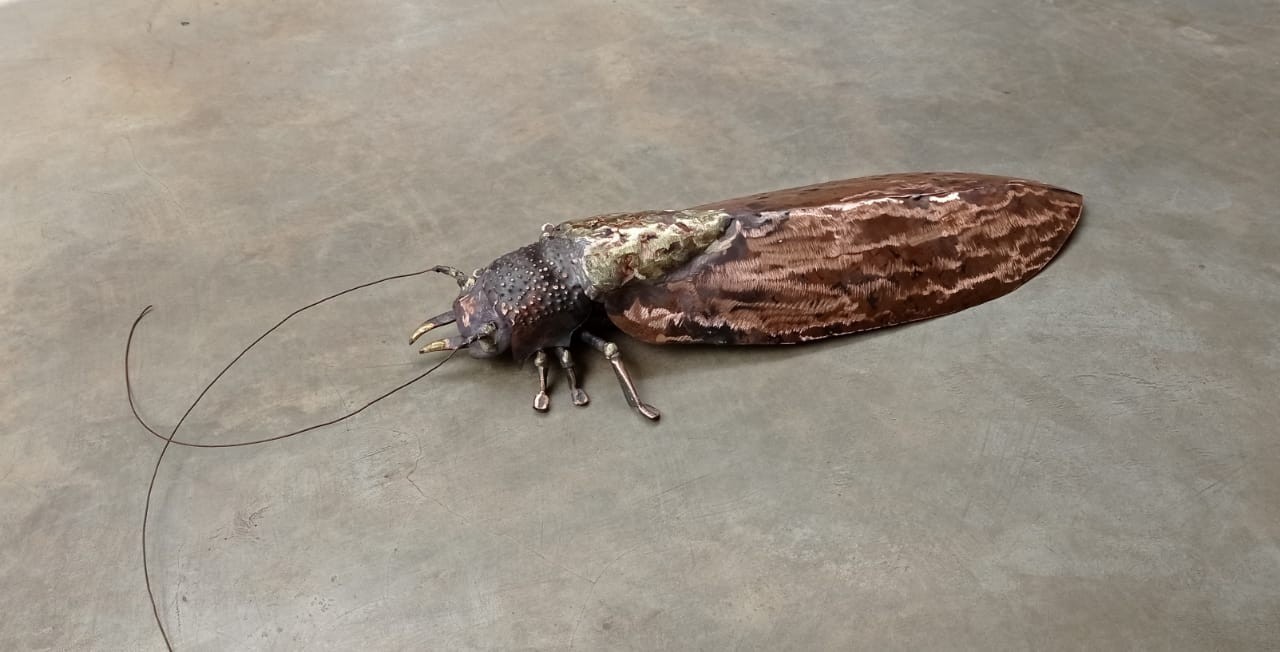 Moth by Asiri Madhushanka