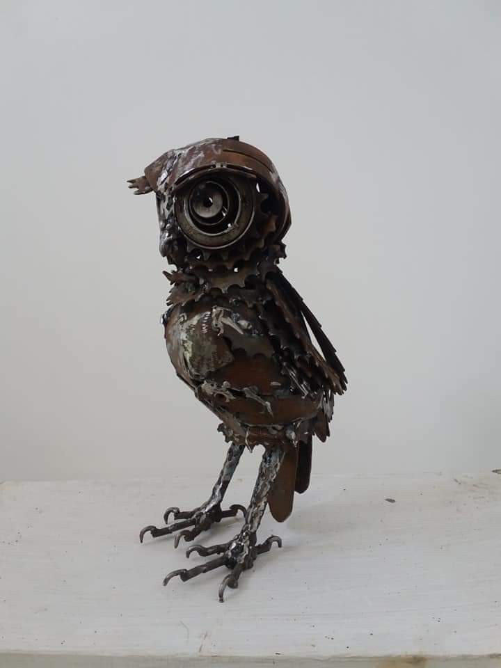 Small owl by Chandana Gunathilake