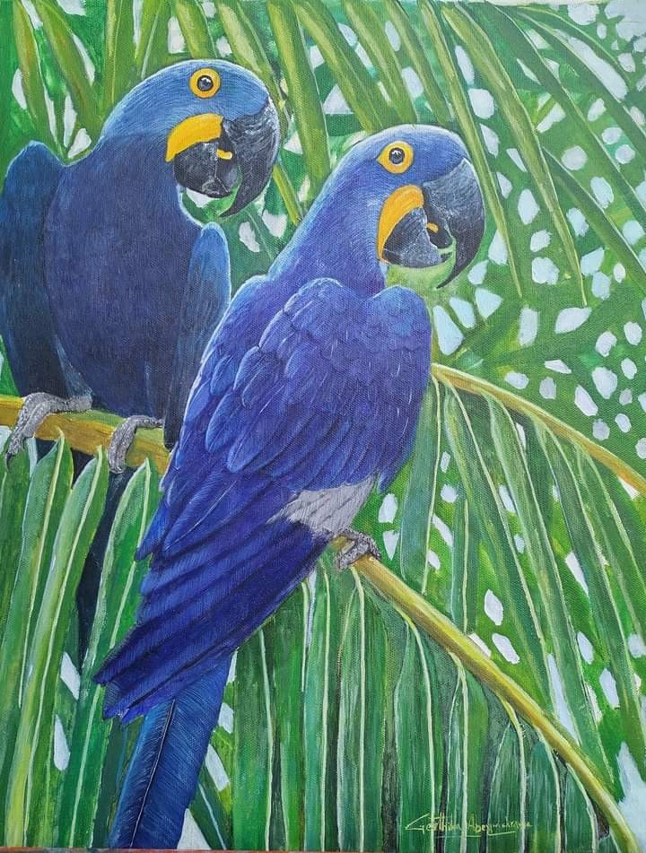 Macaw by Geethika Abeywickrama