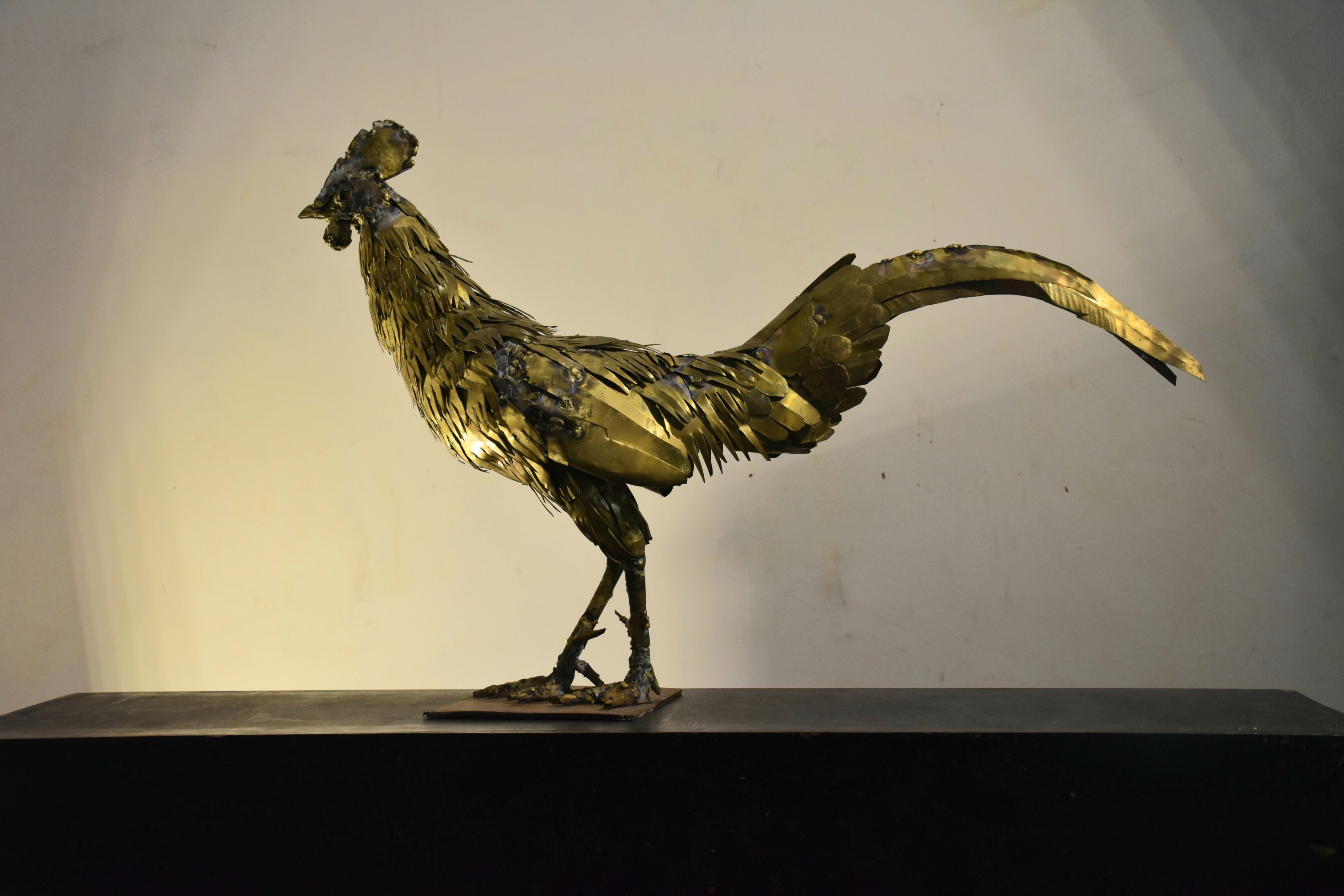 Jungle fowl by Anuradha Henakaarachchi