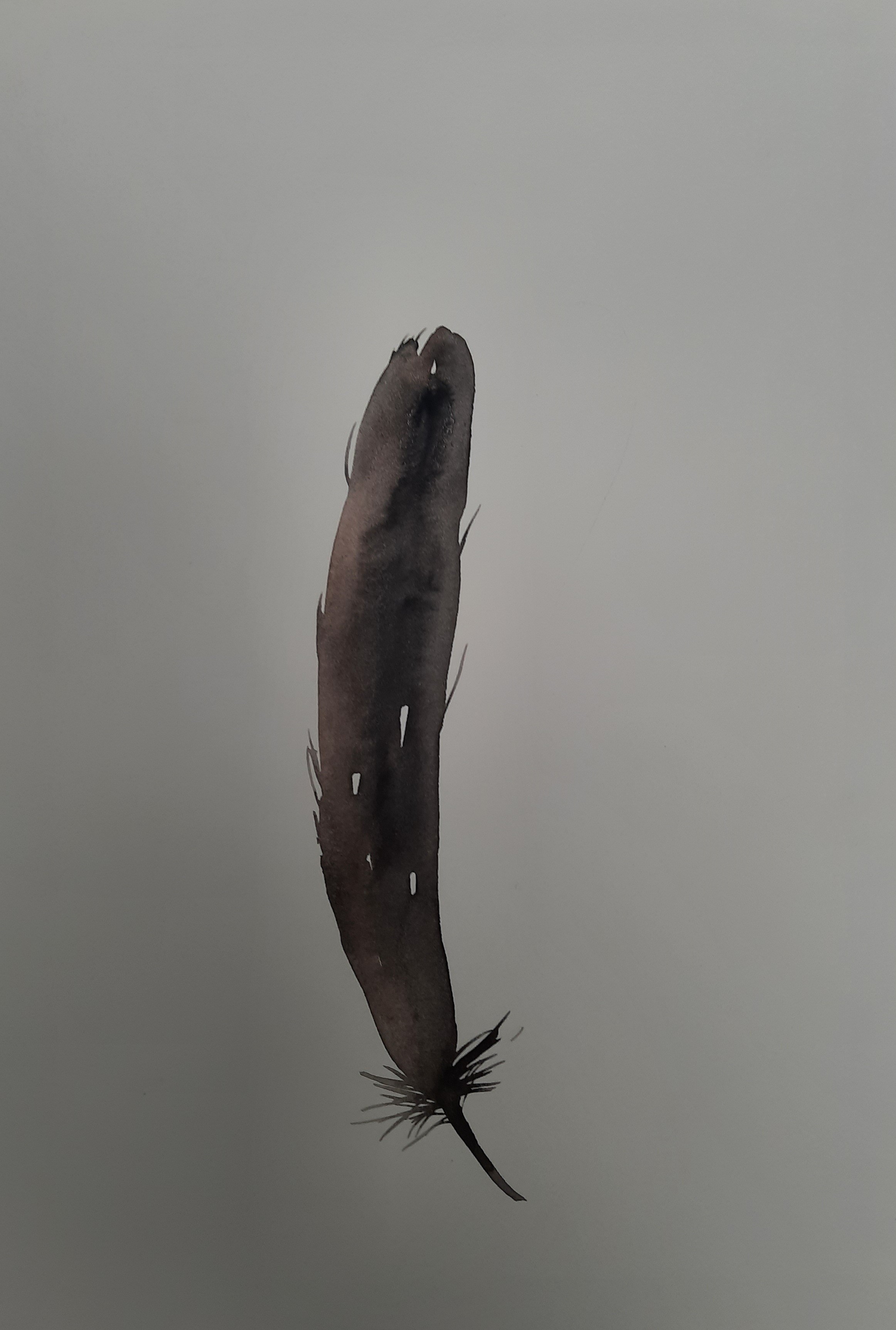 Feather by Sanjeewa Ilangarathne