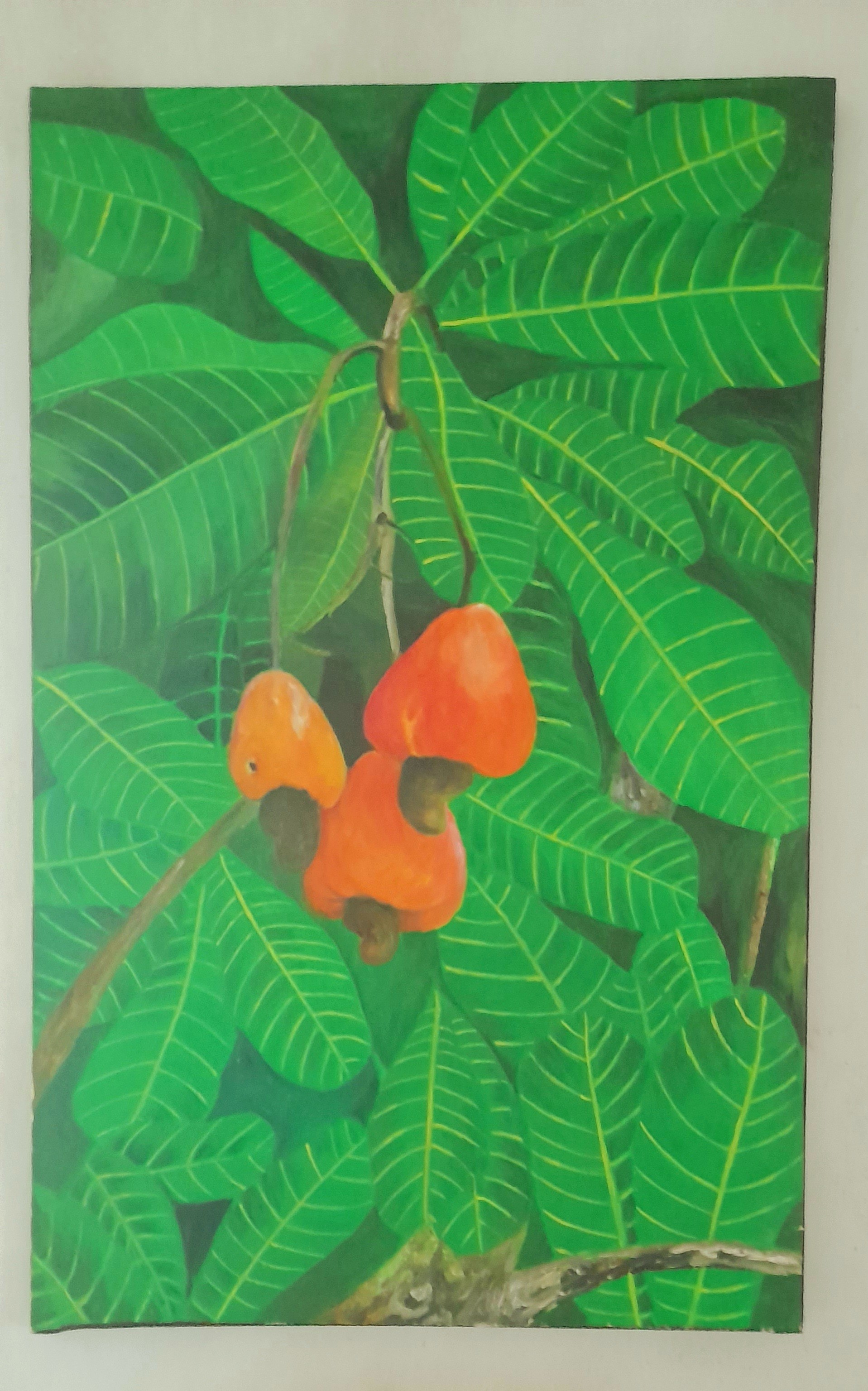 Cashewnut by Mangala Madanayake