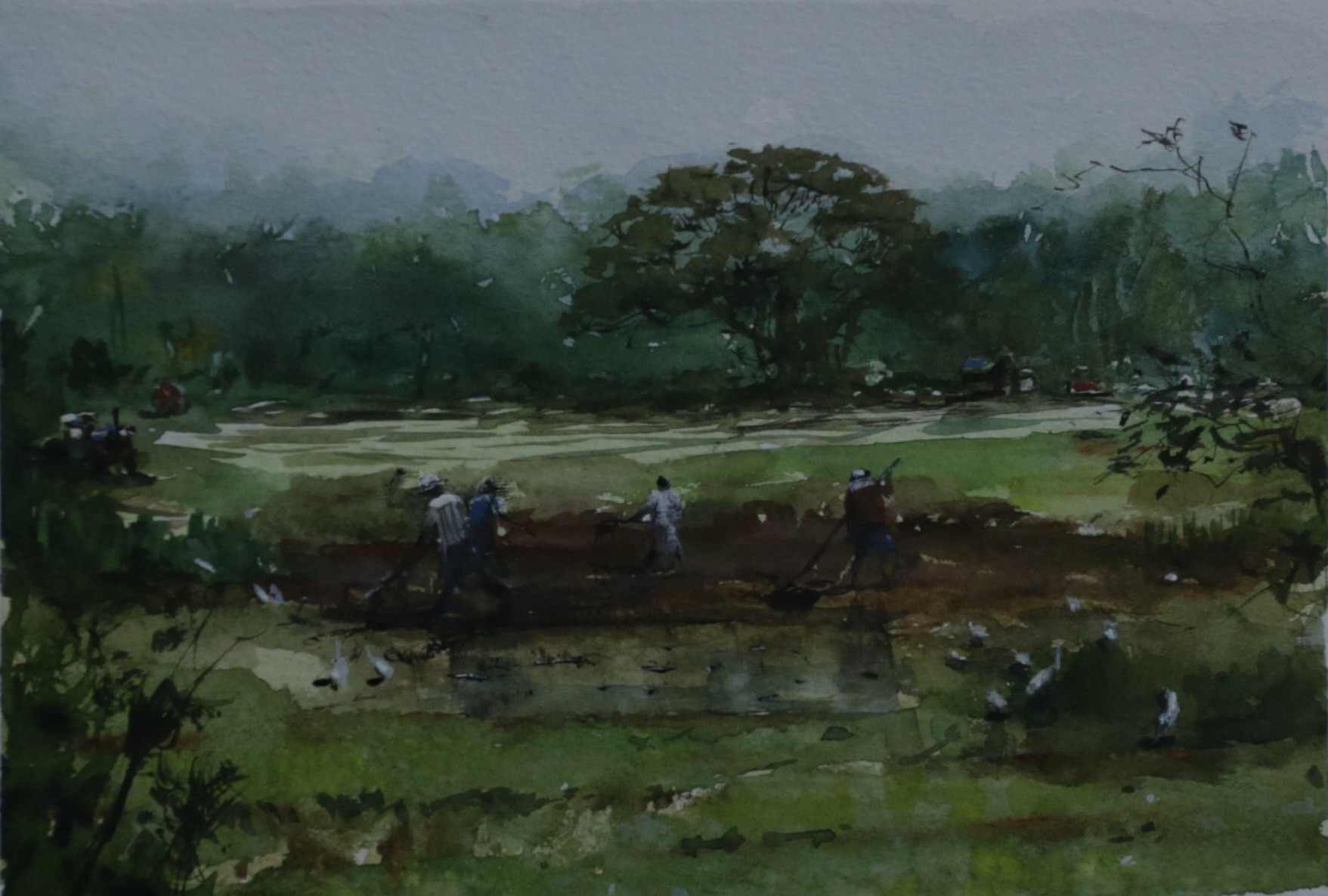 Muddy paddy by Kamalawarna Herath