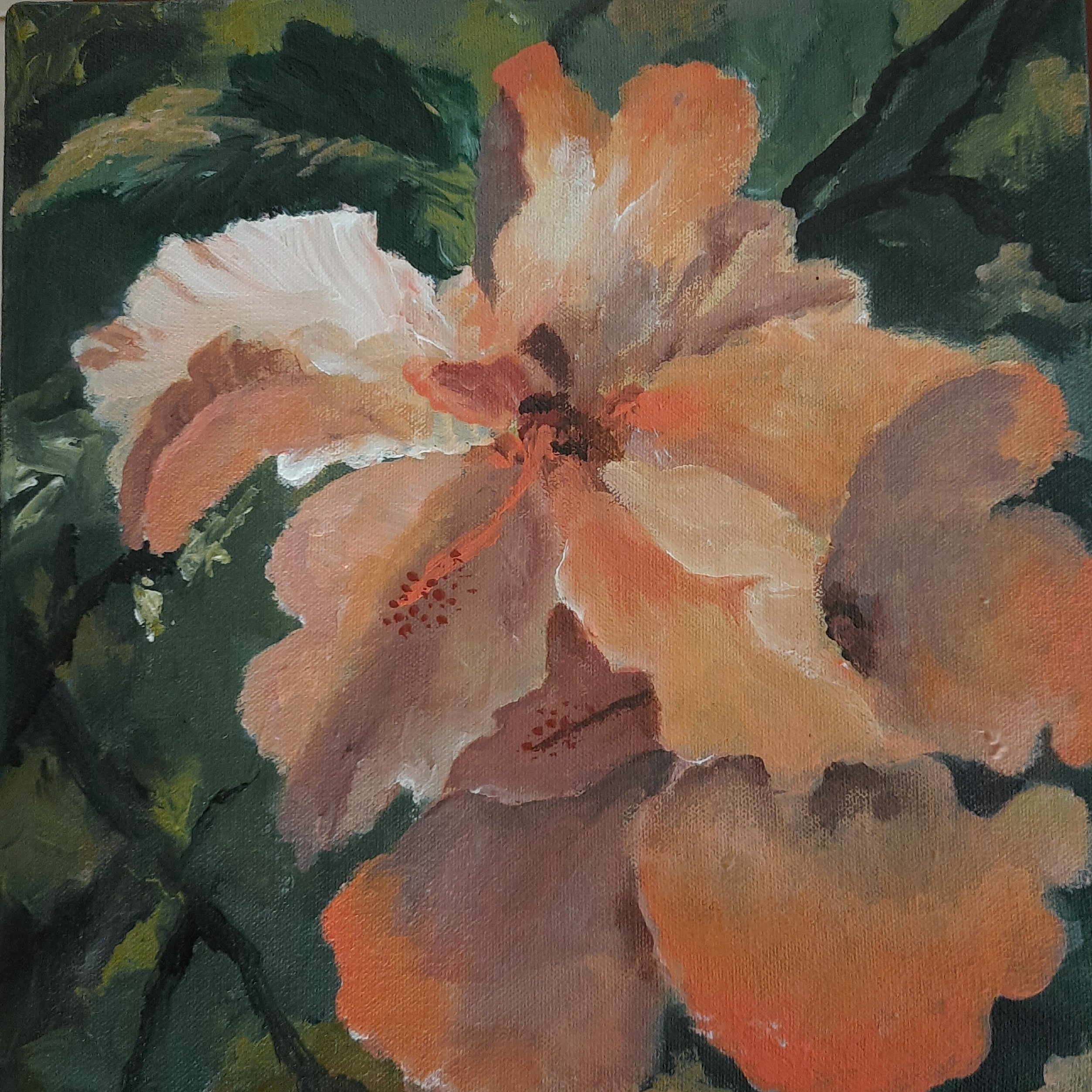 Shoe flowers in my garden by Jean wijesekera