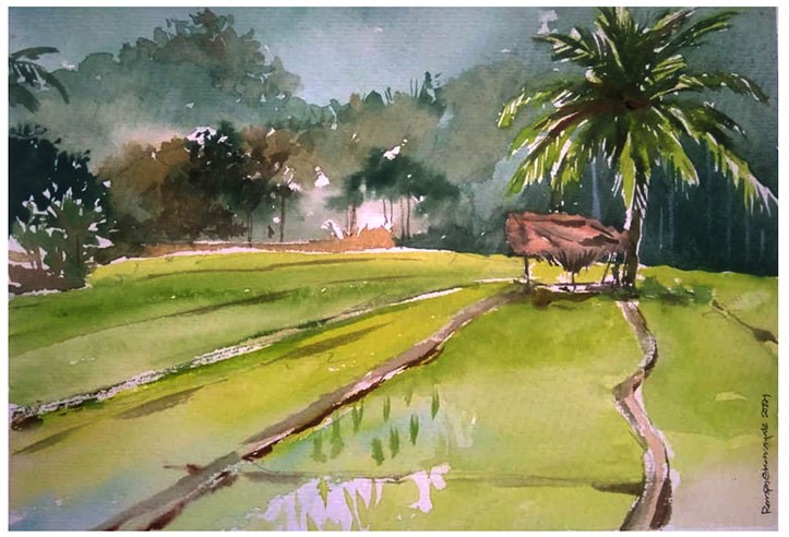 Paddy Field by Ranjan Ekanayake