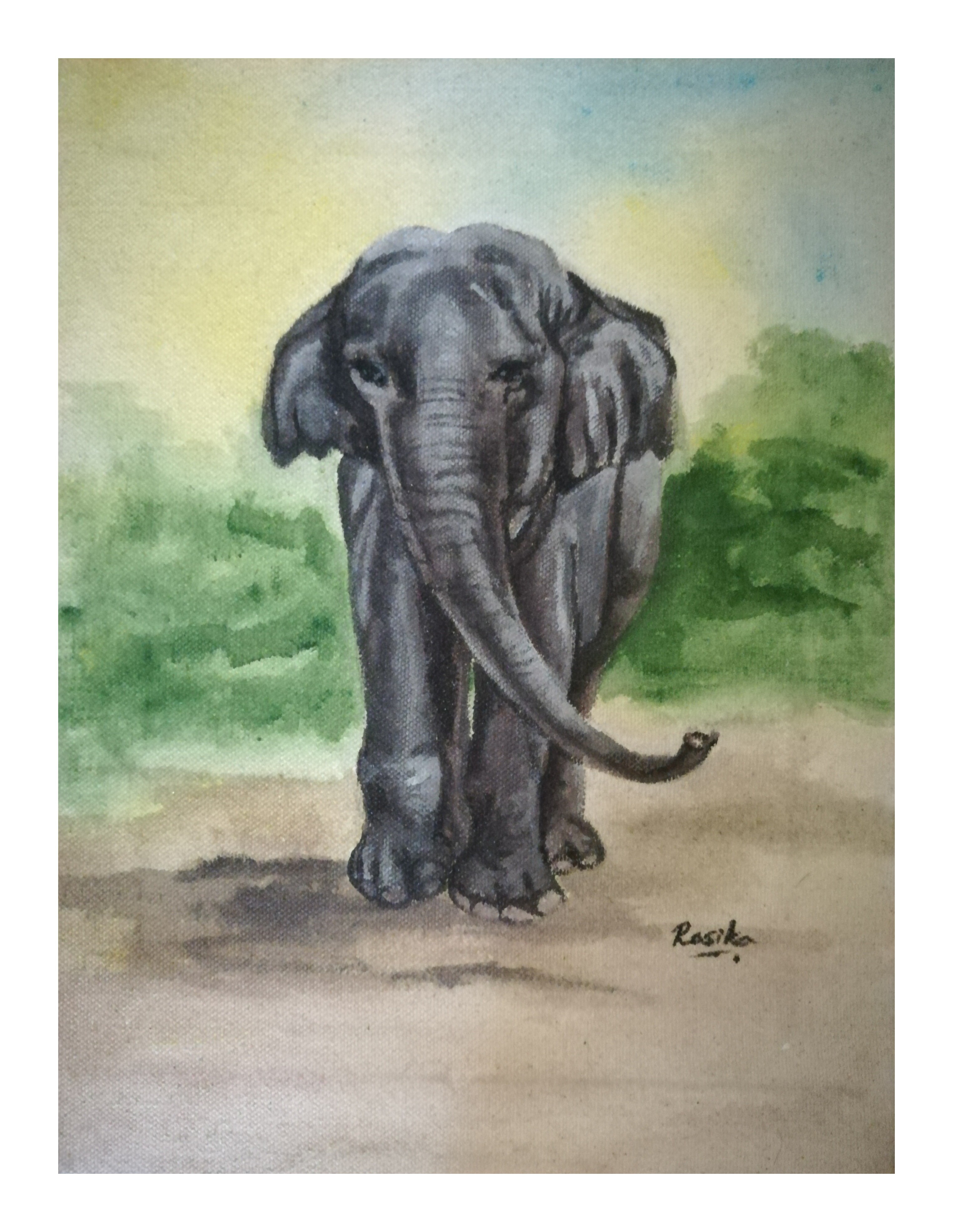 Elephant by Rasika Pathirana