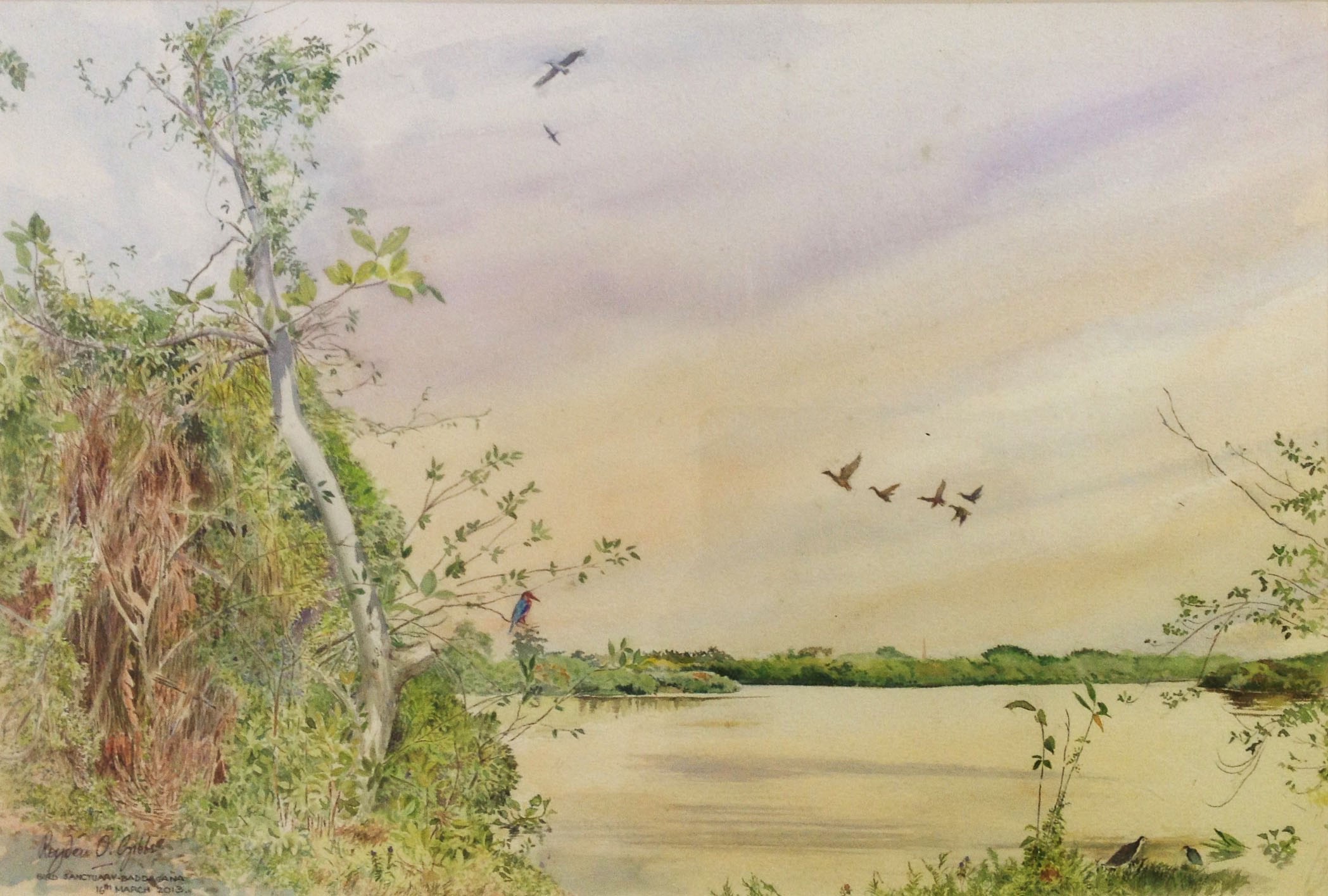 Bird Sactuary - Baddagana by Royden Gibbs