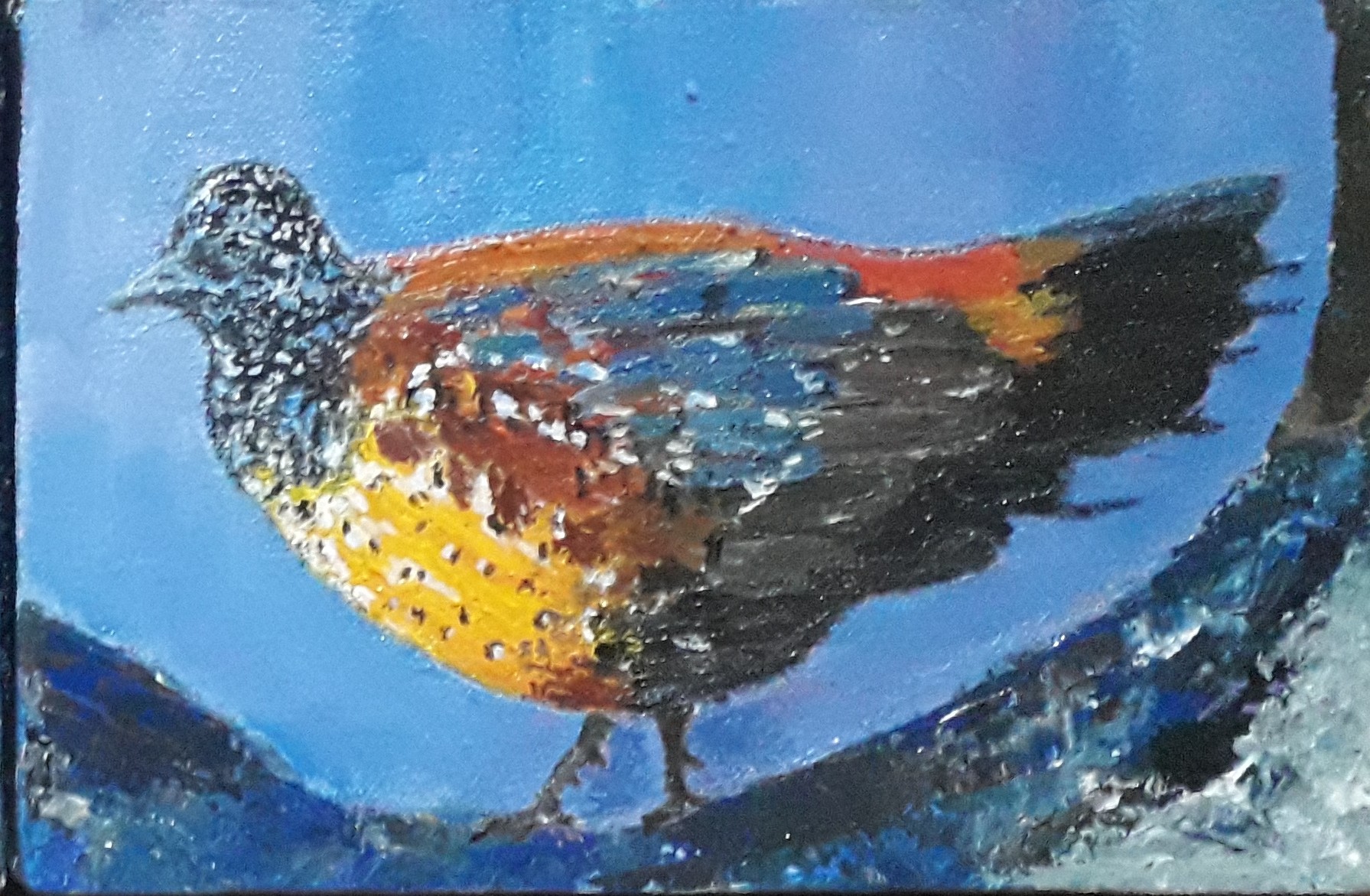 Multi Colored Fowl ( 02 ) by Simpson David