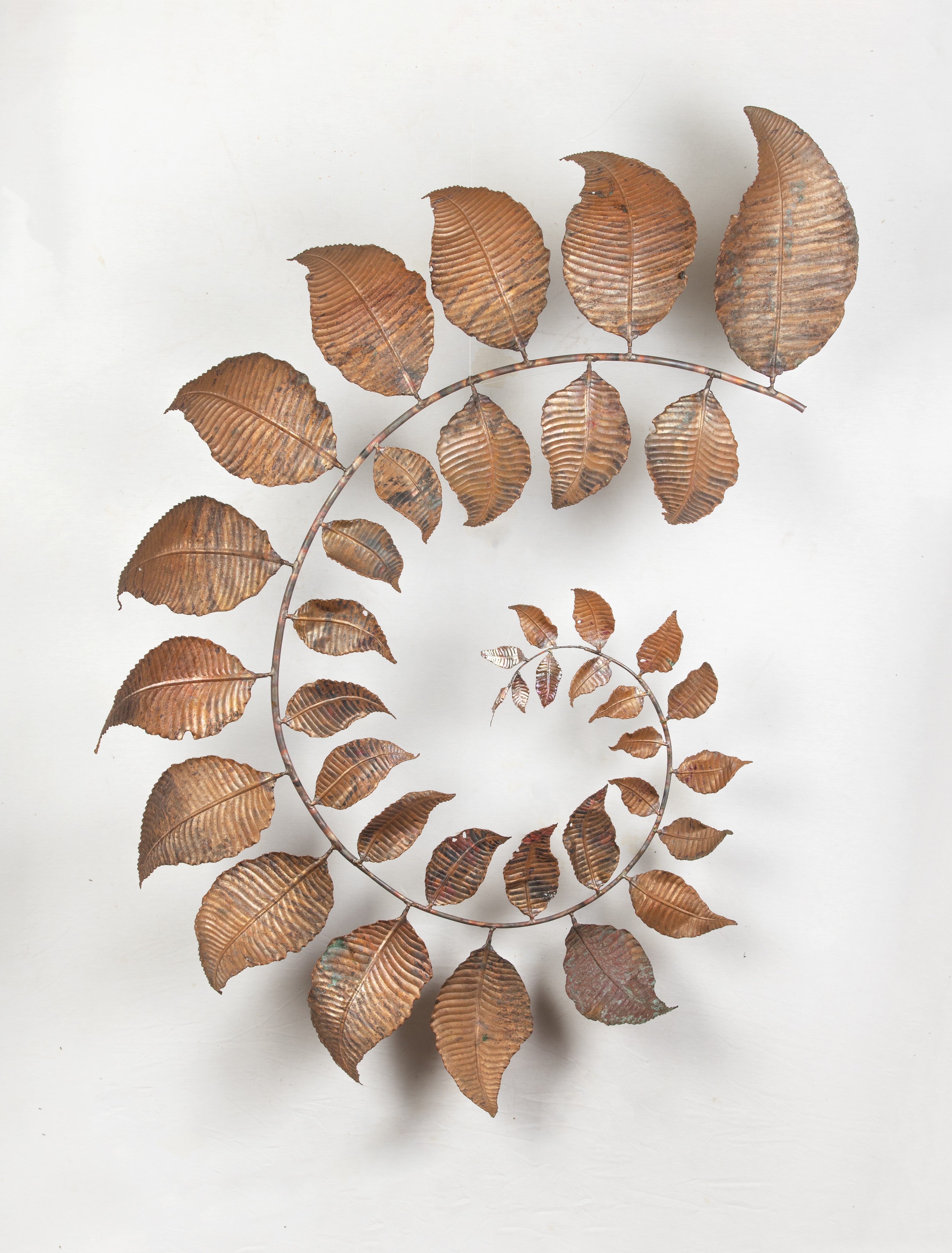 Spiral leafe by Sachira Lakshan