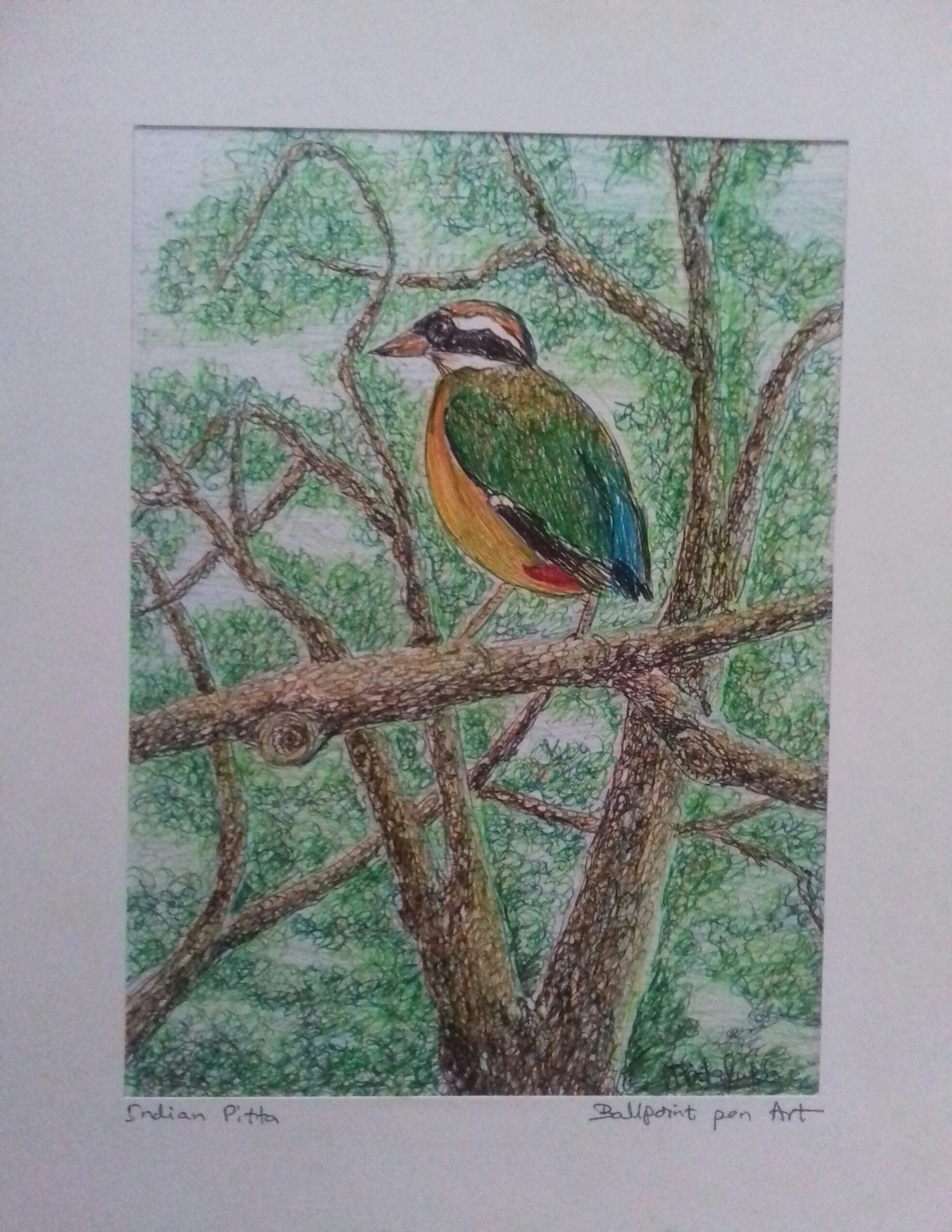 Bird by Champa Priyadharshani