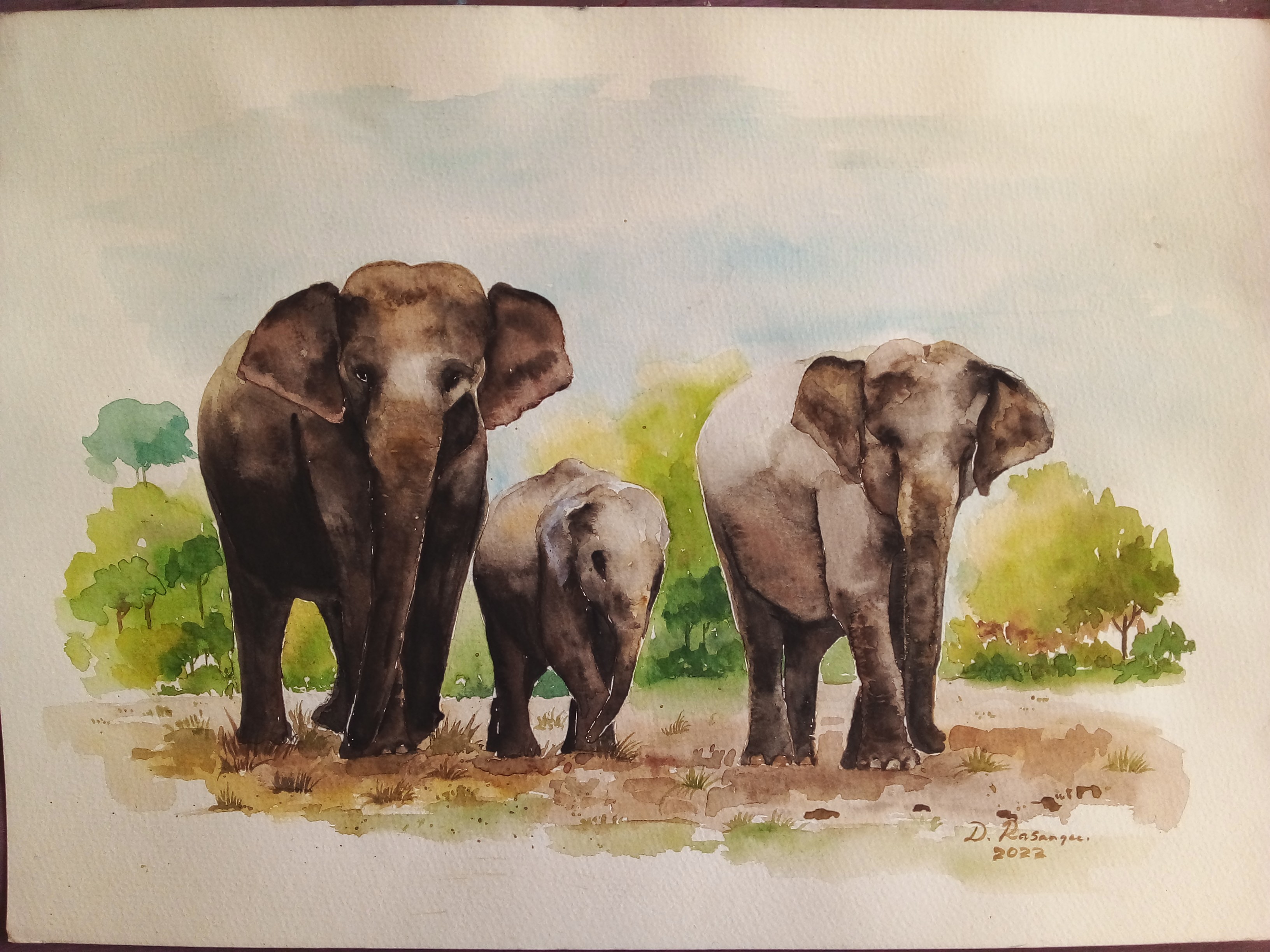 elephants 03 by Dhamitha Rasangee