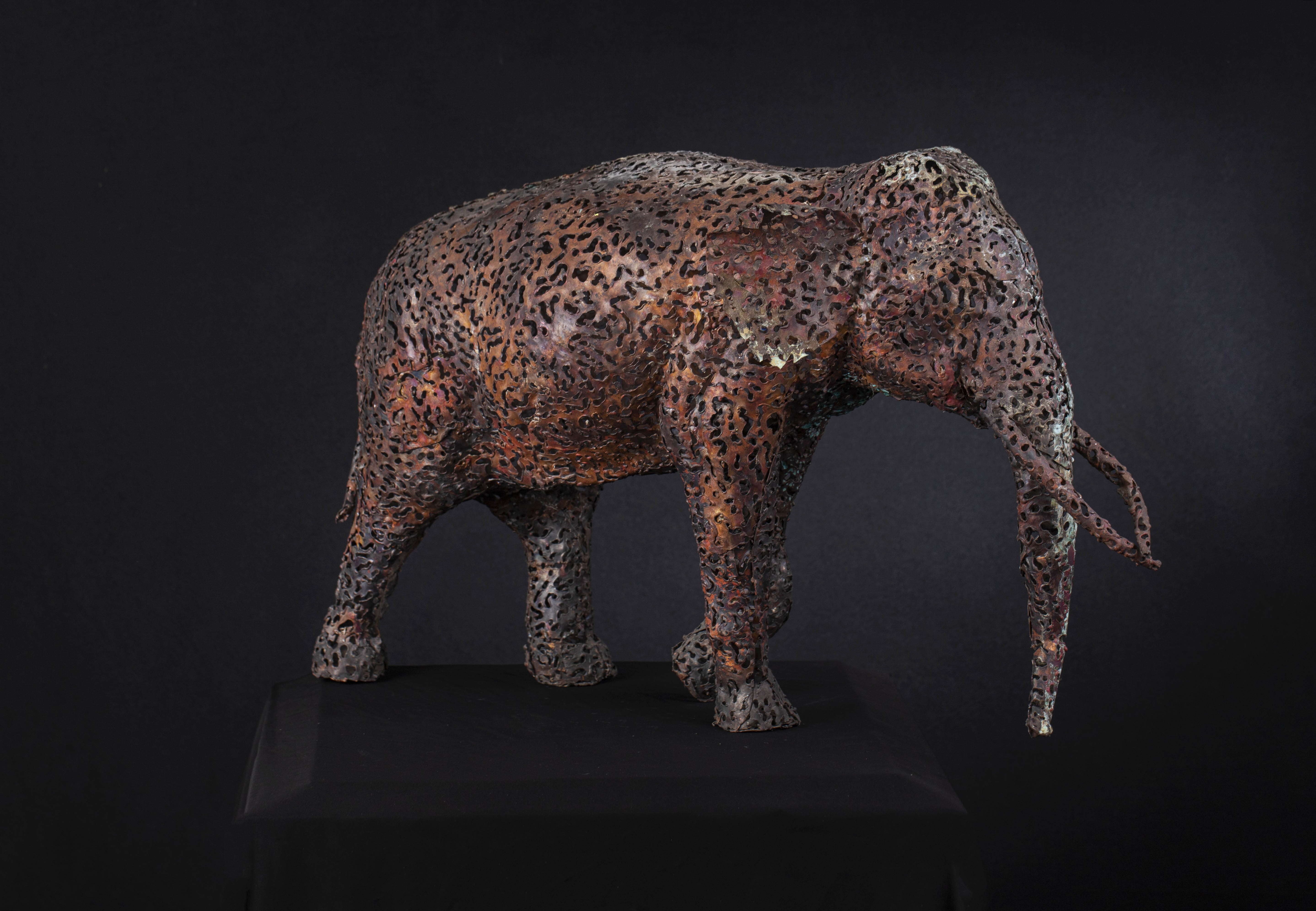 Elephant by lasantha epasinghage