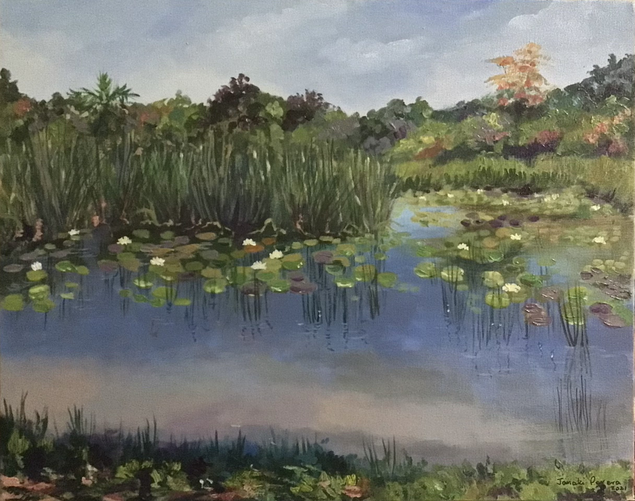 Lotus Pond by Janaki Perera