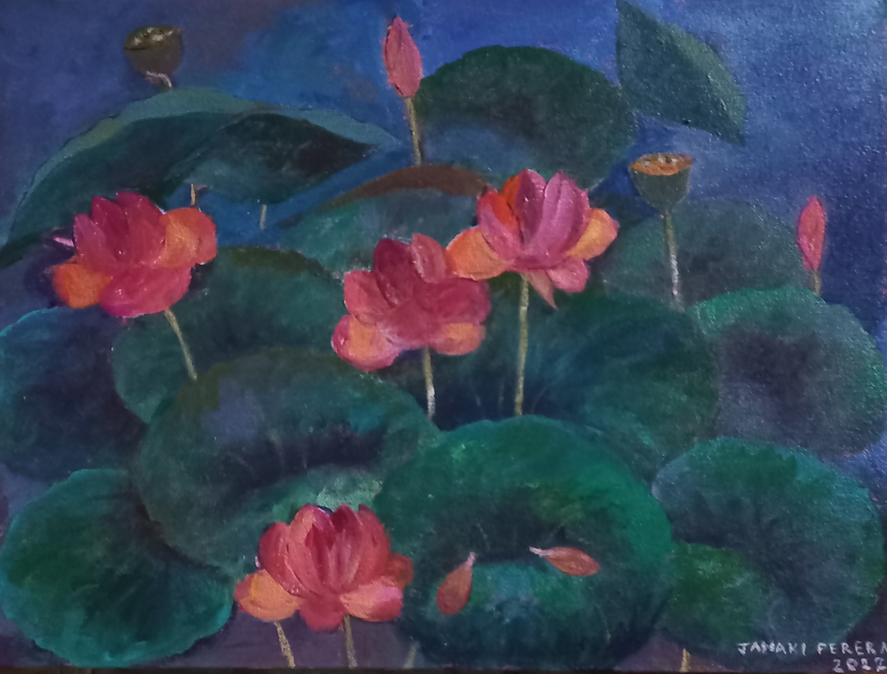 Water lilies by Janaki Perera