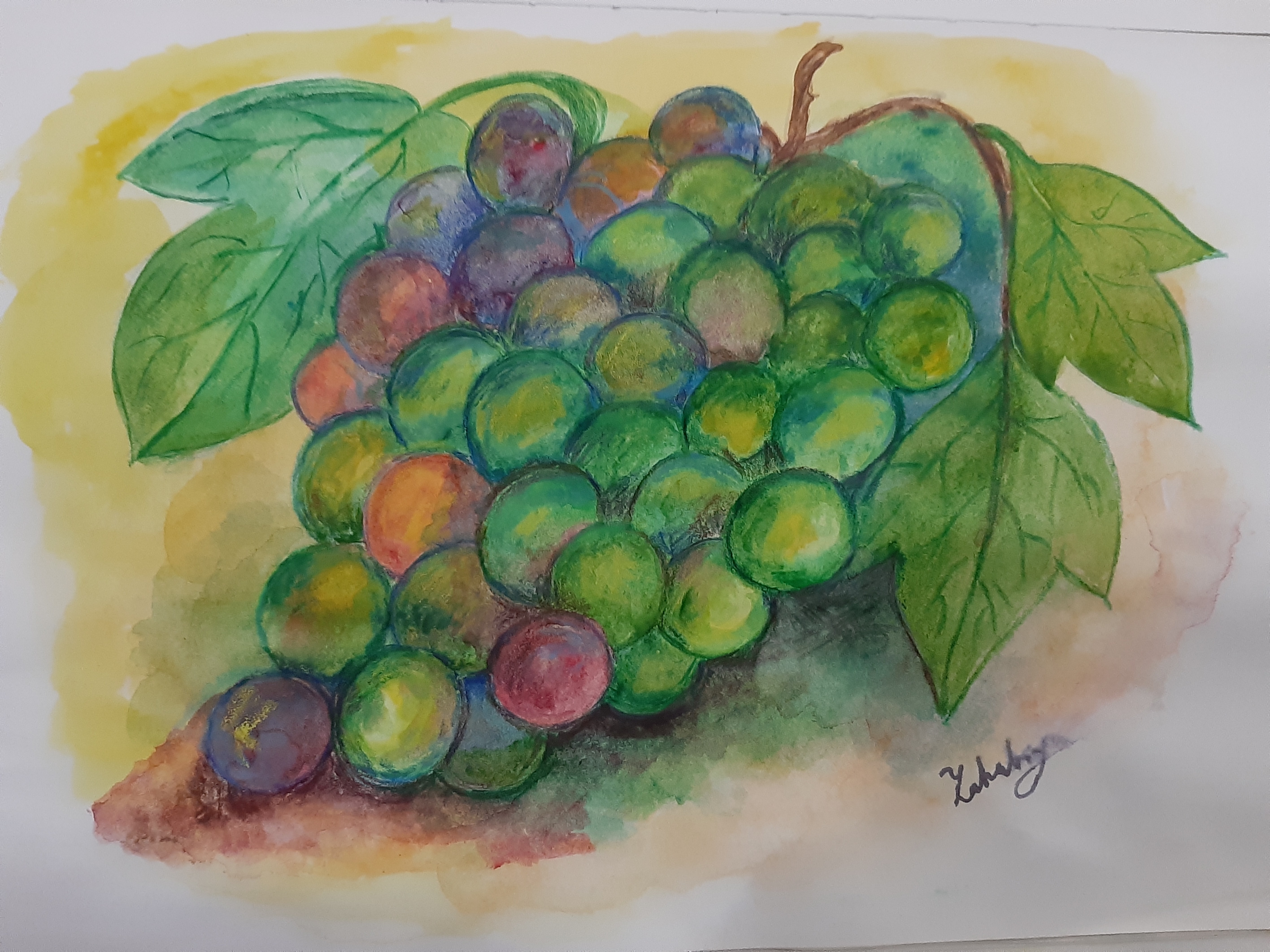 Bunch of Grapes by Zahabiya Amiruddeen