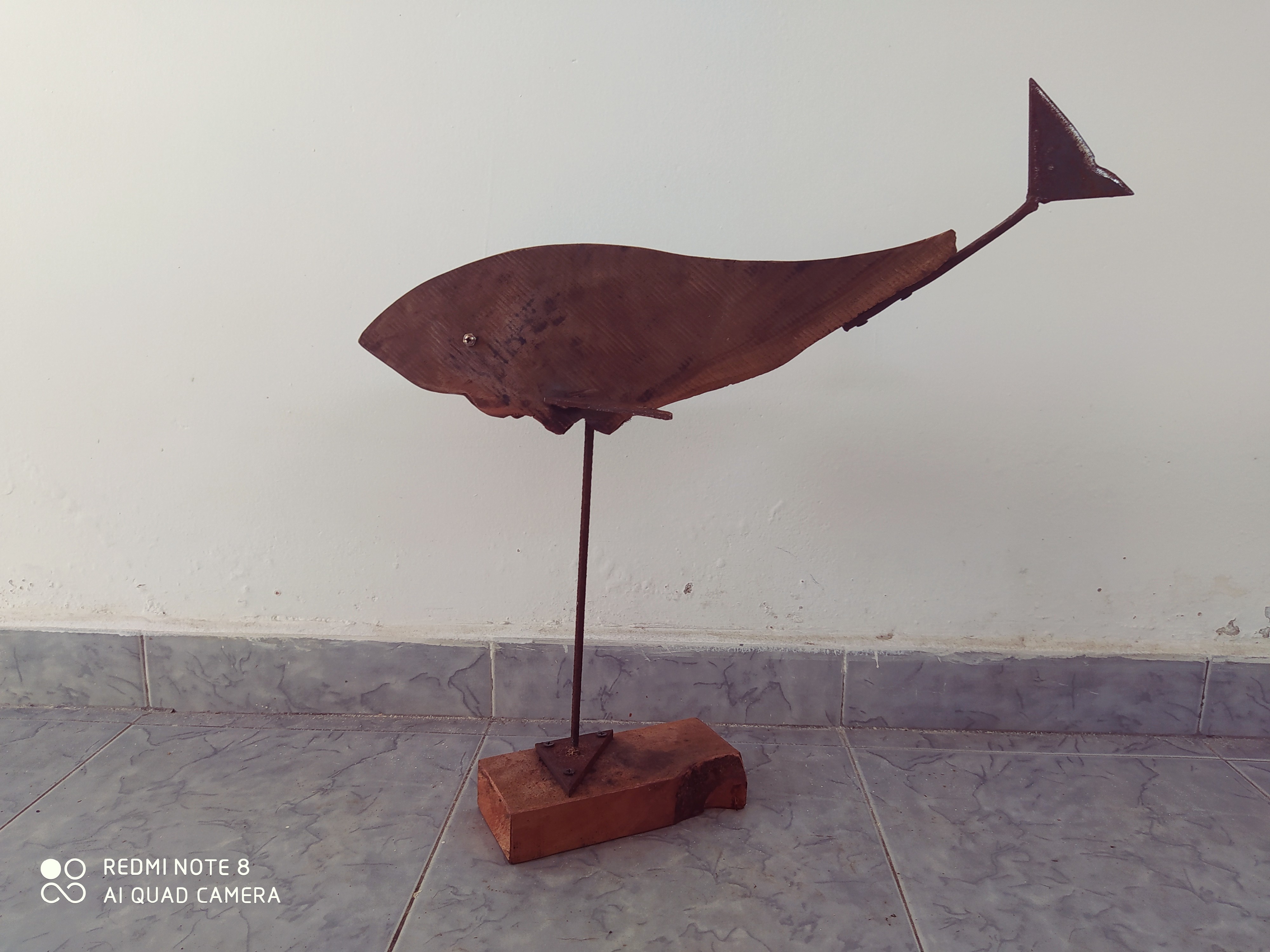 shark by Chandana Gunathilake