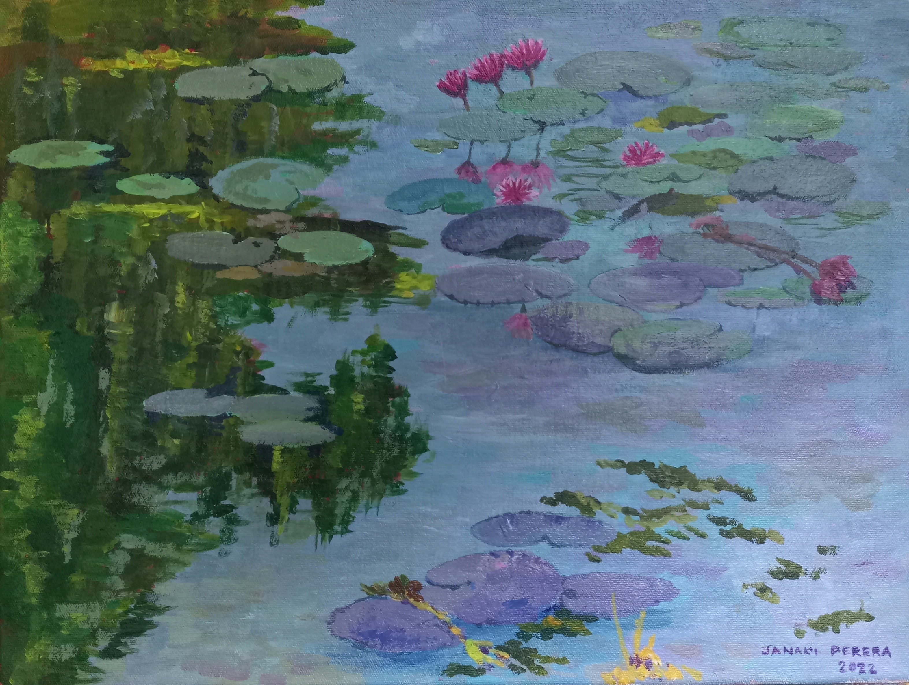 Water lilies by Janaki Perera