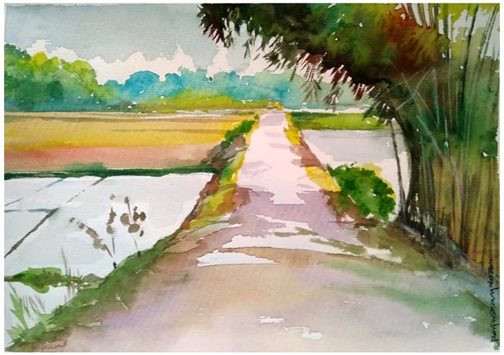 Paddy Field by Ranjan Ekanayake