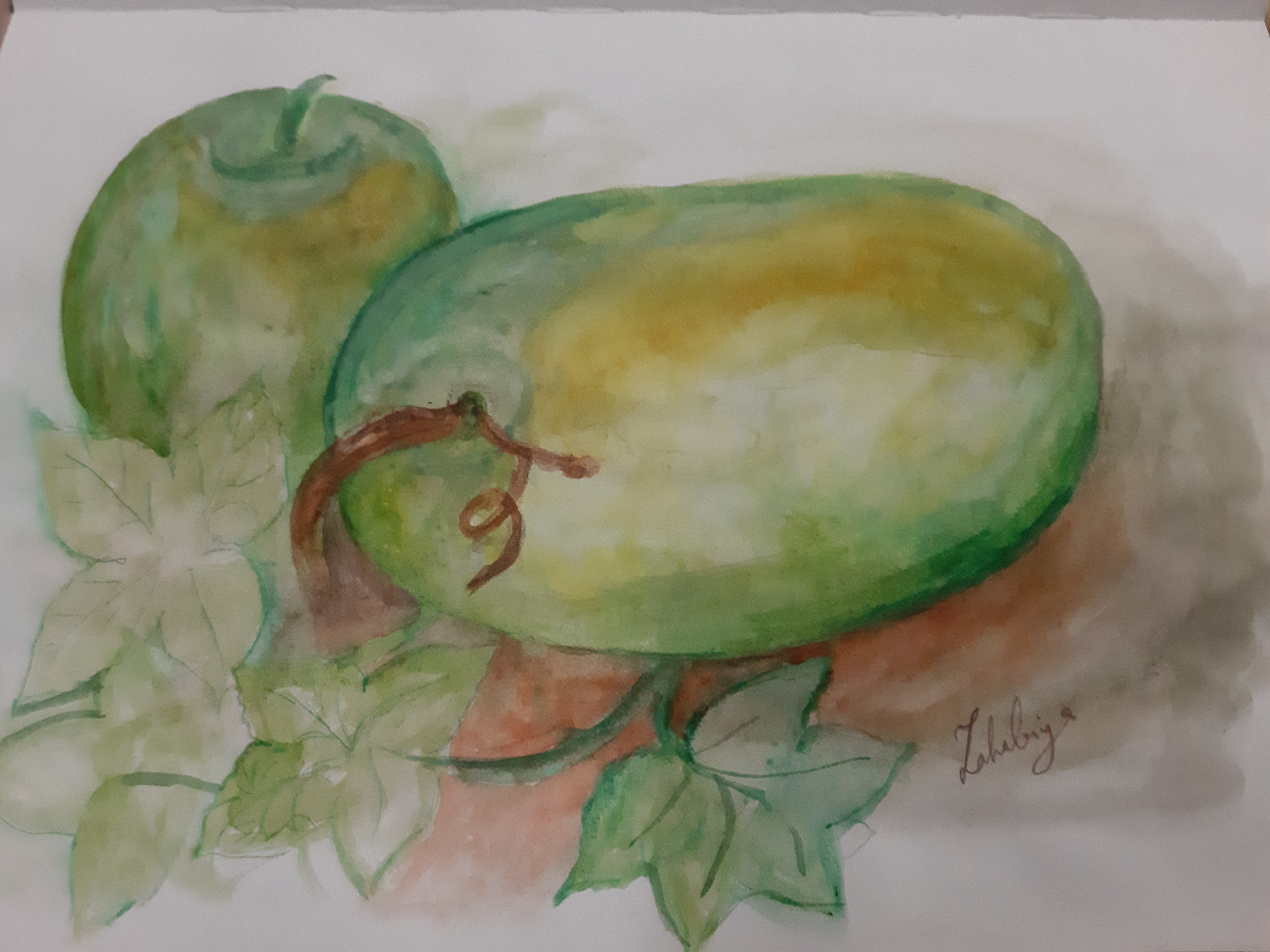 Squash by Zahabiya Amiruddeen