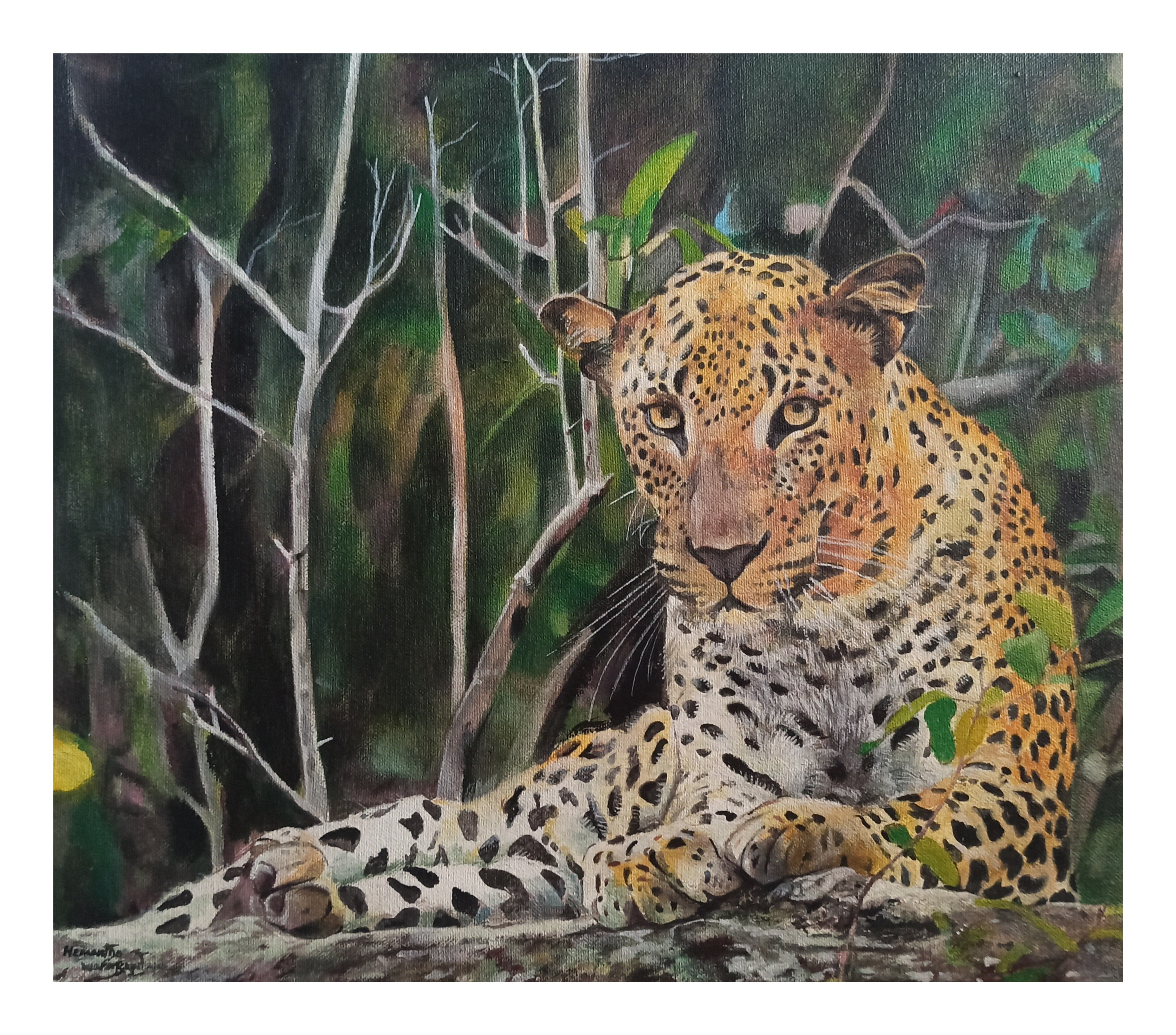Leopard by Hemantha Warakapitiya
