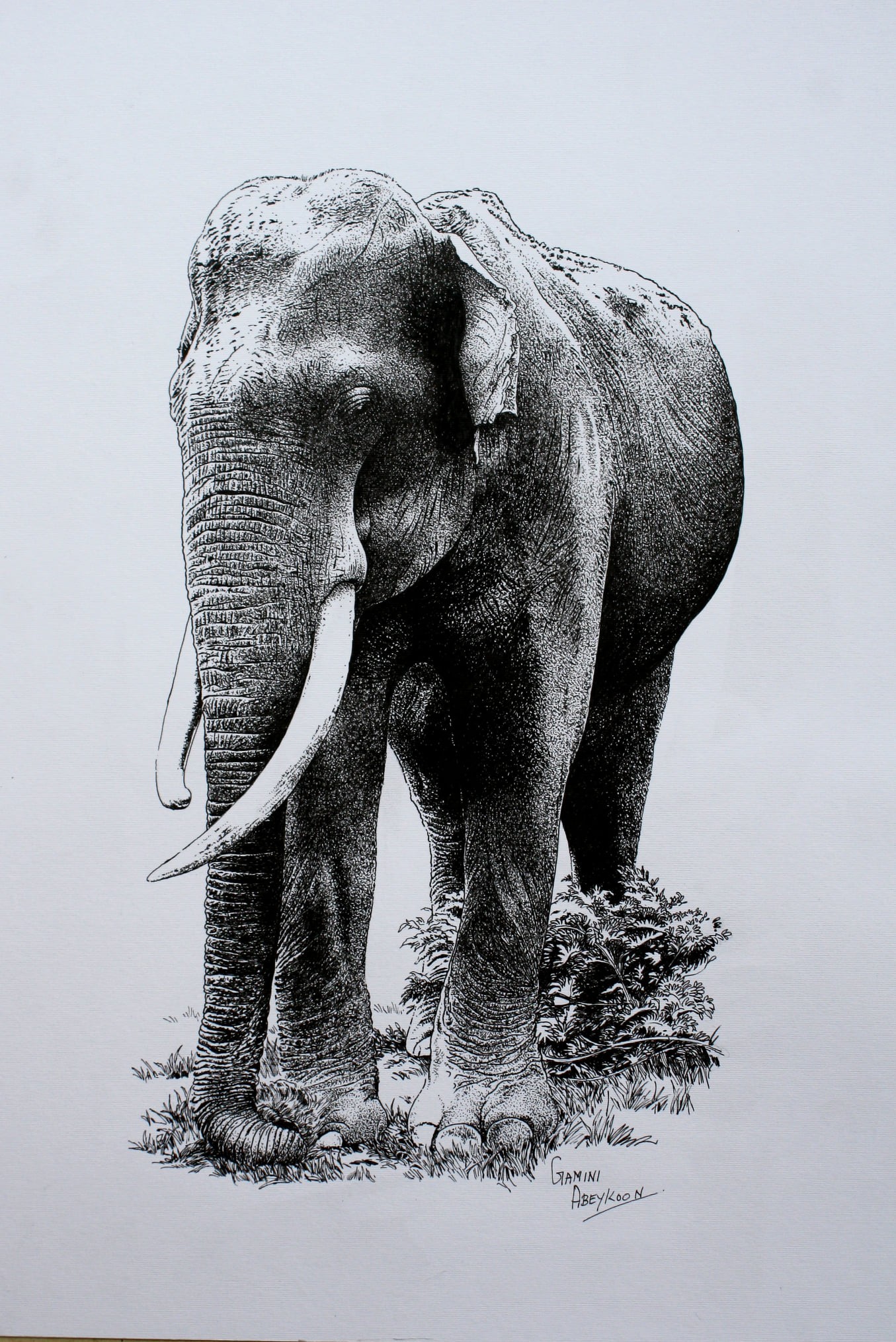 Elephant by Gamini Abeykoon