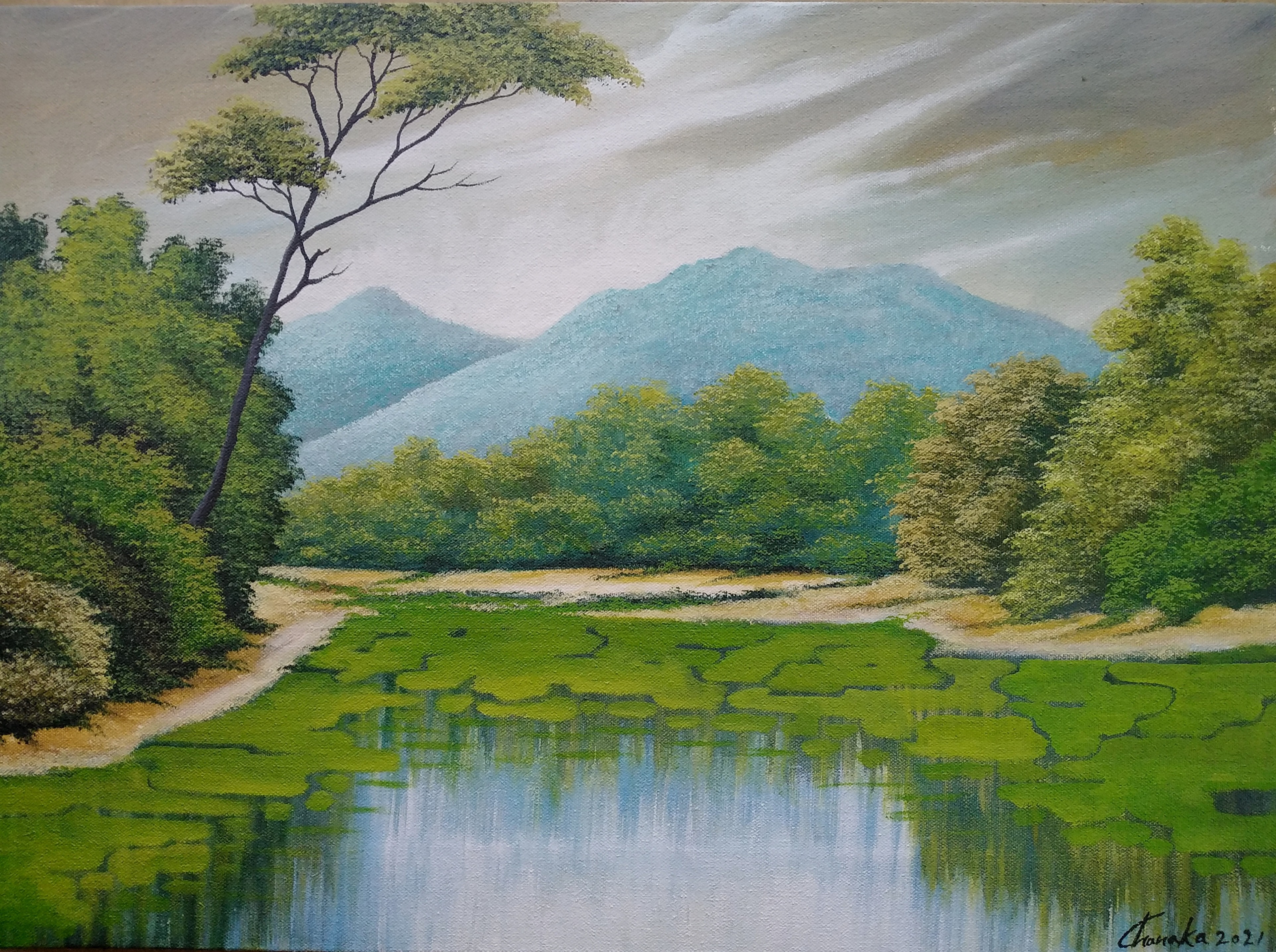 Landscape by nilantha Chanaka