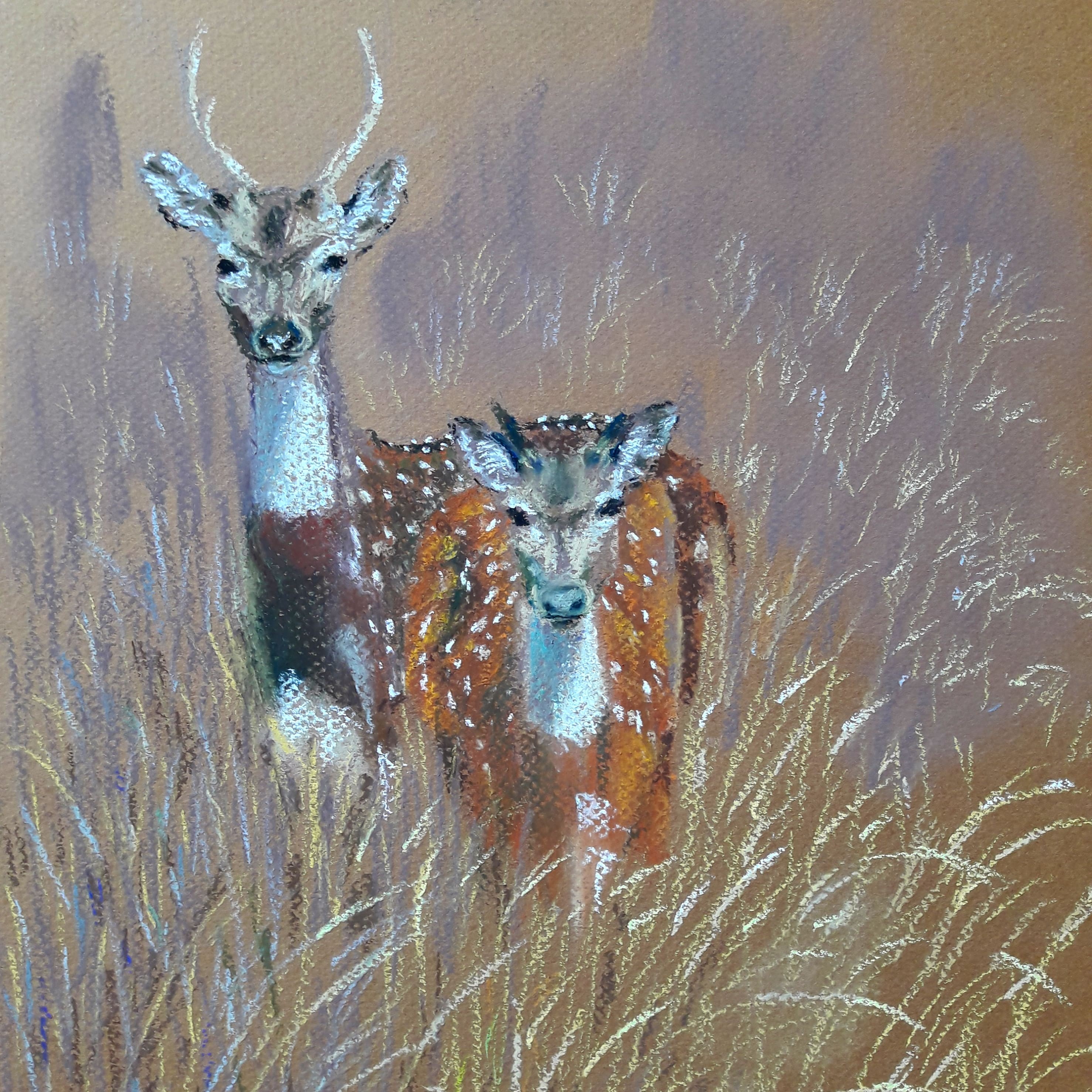 Spotted deer by Dharsha Samarasinha