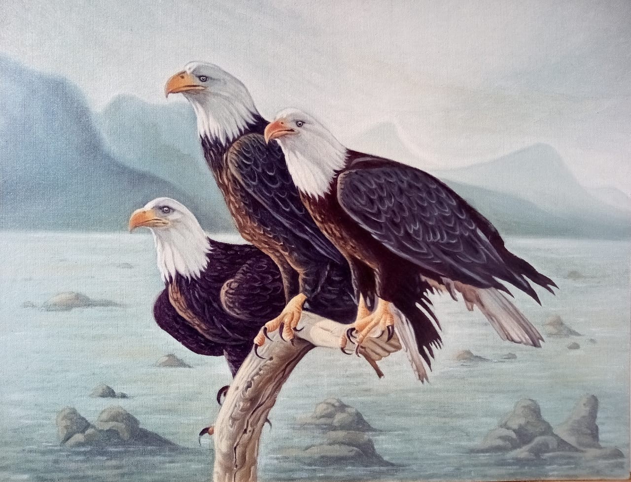 Eagles by K.P Bernard Perera