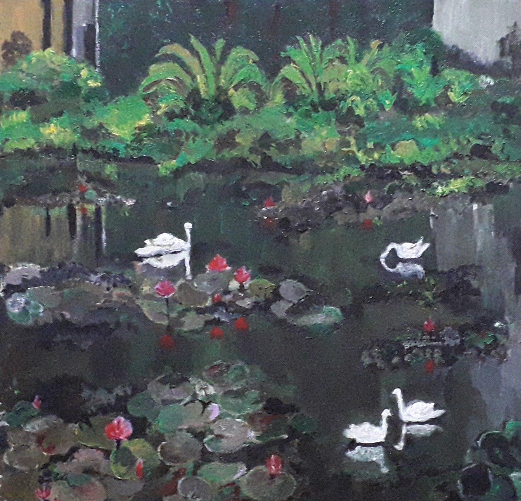 Swans Enjoying the Muddy Lotus W by Simpson David